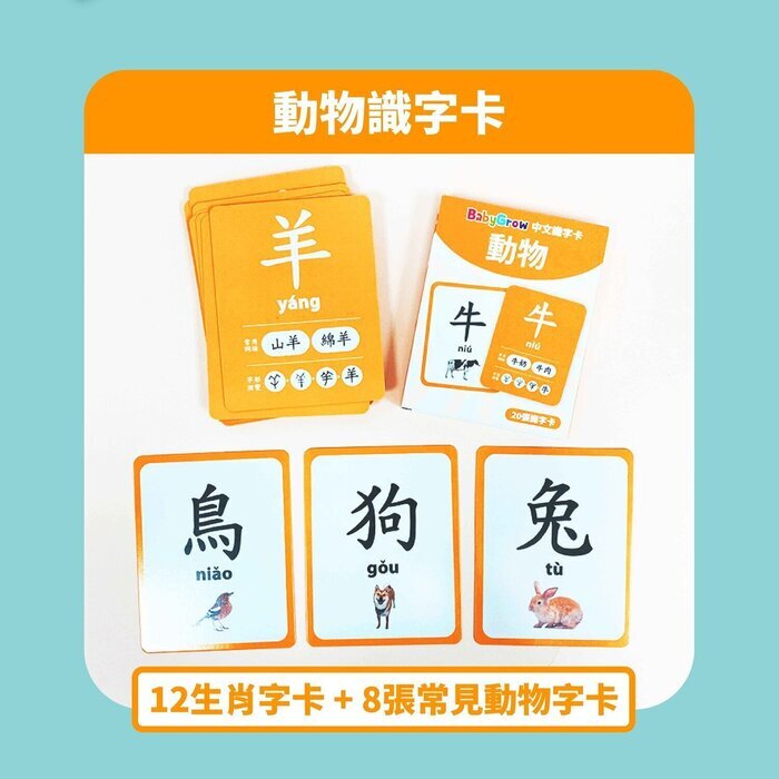 Curios Chinese Flashcard Fixed Size