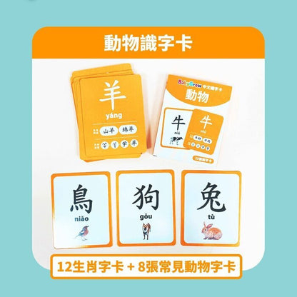 Curios Chinese Flashcard Fixed Size