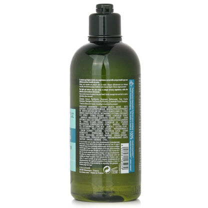 L'Occitane Aromachologie Purifying Freshness Shampoo (Oily Hair & Scalp) (Random Packaging) 300ml/10.1oz